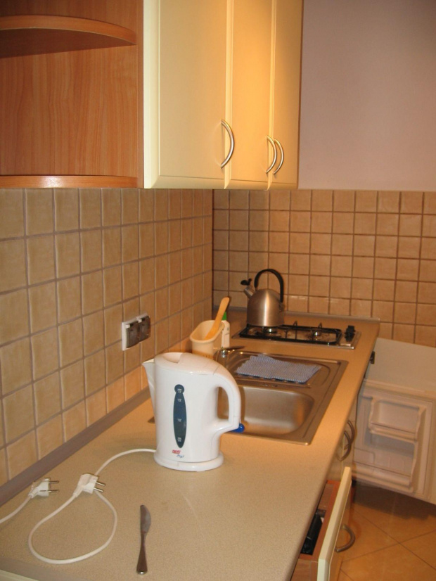 kuchnia w apartamencie