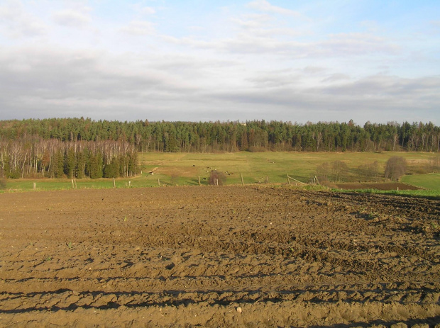 Dolina Słupiny - Sielanka