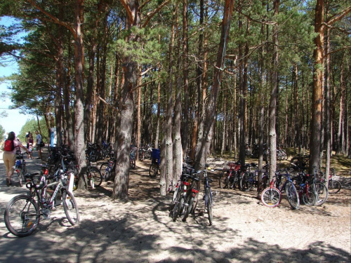 Parking dla rowerów w Białogórze