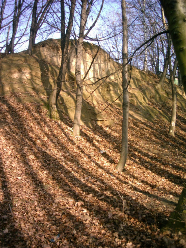 Prądnik i Witkowice oraz Bolechowice