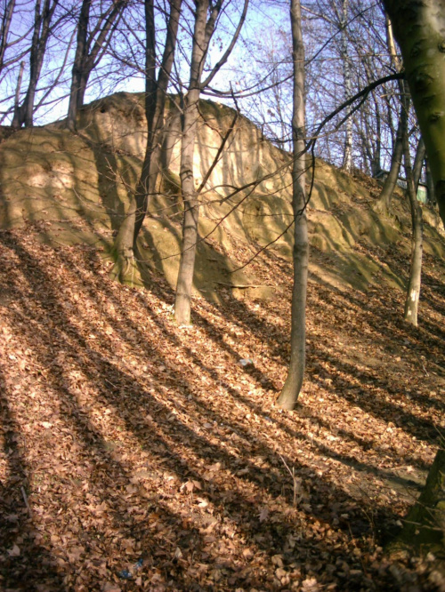 Prądnik i Witkowice oraz Bolechowice