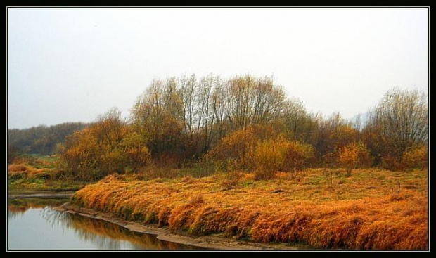 Jesień nad Wisłą