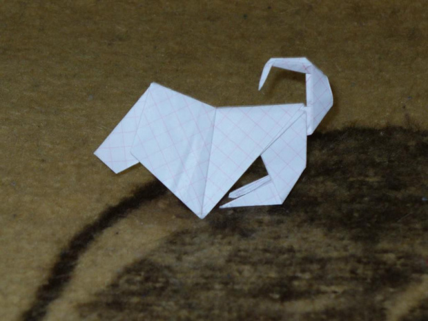 moje origami, narazie mało dokładne ale dopiero się uczę :) #origami