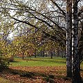 ostatnie chwile w jesiennym Parku Ujazdowskim