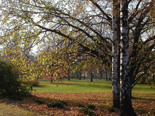 ostatnie chwile w jesiennym Parku Ujazdowskim