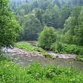 Beskid Niski #StrumienPotokLasGory