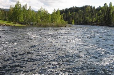 Piekno Norwegii #Norwegia #natura #słonce #zima #śnieg #woda #rzeka #drzewa