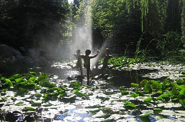 kwiaty z lichenia... #KwiatyArtystyczneLicheń