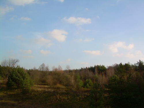 chciałam uwiecznić "zimowe" chmury.... :)))))))))))))) #chmury #drzewa #krajobraz #krajobrazy #las #lasy #natura #niebo #przyroda #rośliny #widok #widoki