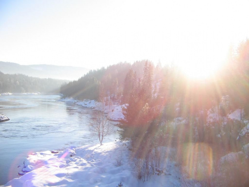 Zimowe słońce #Norwegia #natura #słonce #zima #śnieg #woda #rzeka #drzewa