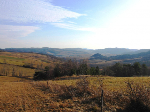 łąki nad Cisowcem, w tle majaczy Smerek i Łopiennik