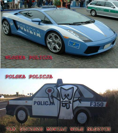 POLICJA/POLIZIA(MIEDZYNARODOWE PSY) #Smieszne #Psy #Policja #Polska #Wlochy #Samochody #Dziwne #Pigs