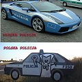 POLICJA/POLIZIA(MIEDZYNARODOWE PSY) #Smieszne #Psy #Policja #Polska #Wlochy #Samochody #Dziwne #Pigs