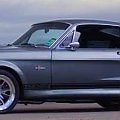 Mustang Shelby #samochody