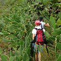 góry Anaga - droga przez kaktusy #Teneryfa