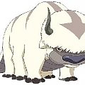 Appa