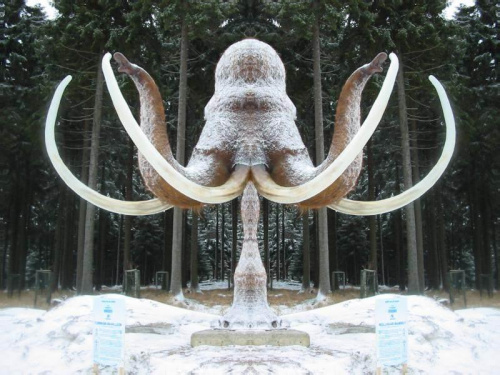 Bydlak - mamut z SARS we Wrocku (fot. Dygnitarz)