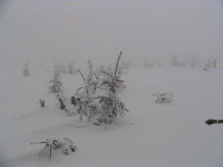 Beskidy 03-2006