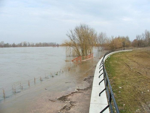 Puławy - niedziela 02.04.2006 godz. 10.17 #Wisła #Puławy #bulwar #rzeka