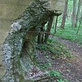 WOLFSCHANZE