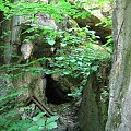 WOLFSCHANZE