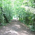 WOLFSCHANZE