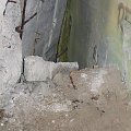 WOLFSCHANZE