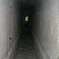WOLFSCHANZE