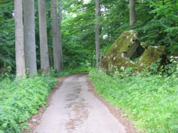 WOLFSCHANZE