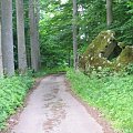 WOLFSCHANZE