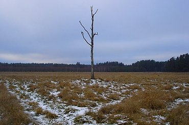 Bagna Snopkowskie #PuszczaPiska