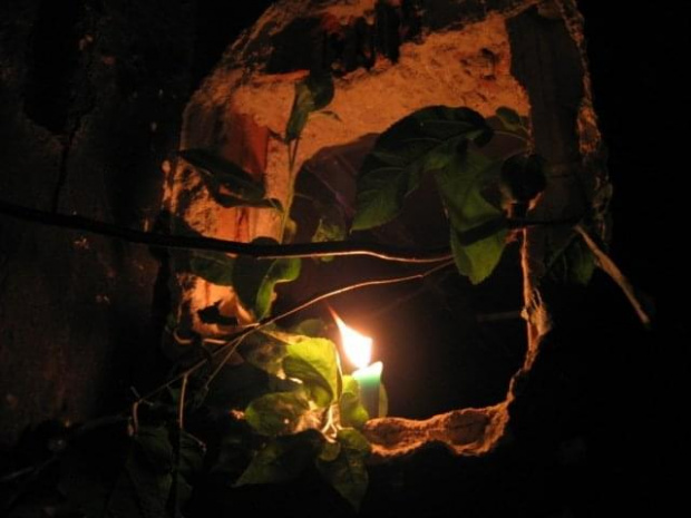 10.06.2005 - FOREST RAVE 2