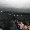 FOREST RAVE 1