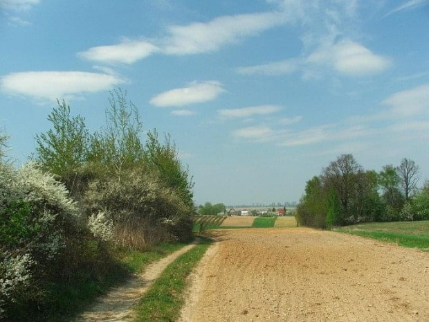 Droga z Klementowic do Pożoga