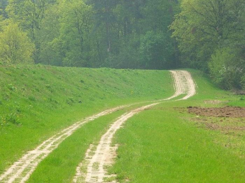 Na szlaku z Puław do Janowca - zbliżamy się do Nasiłowa