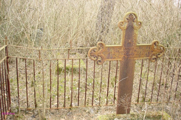 Szczechy Małe - cmentarz wiejski