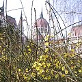 Budapeszt