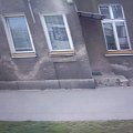 STREET ARTY SCD