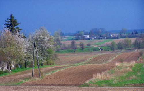 widok z okna-jazy