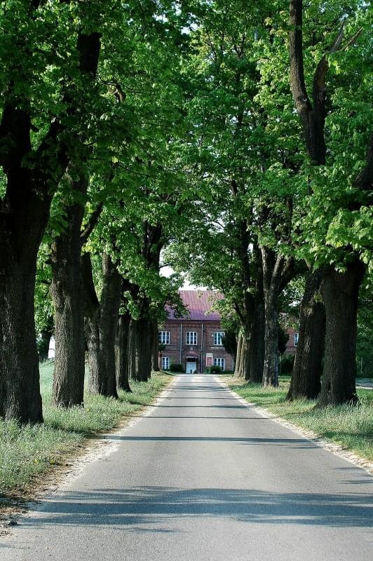 Aleja dojazdowa do szkoły fot. Michał Sokołowski