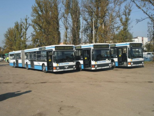 #Rybnik #PKS #MZK #Autobusy