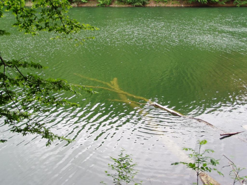 #woda #Wiosna2006 #wiosna #szmaragdowe #szmaragd #szczecin #zdroje #jezioro