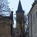 Sanok