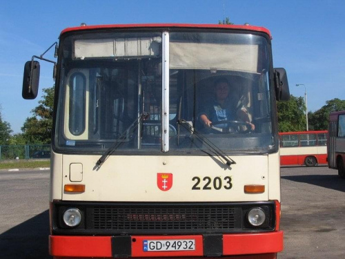 Moja kolekcja busów