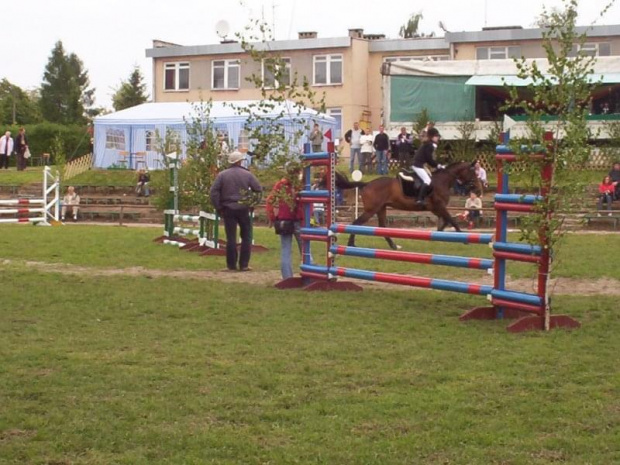 Pianola & Wera przemierzają dzielnie parkur