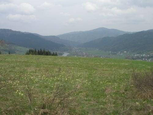 Pieniny