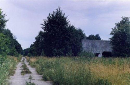 Zarośnięta droga KłOMINO #KłOMINO2005