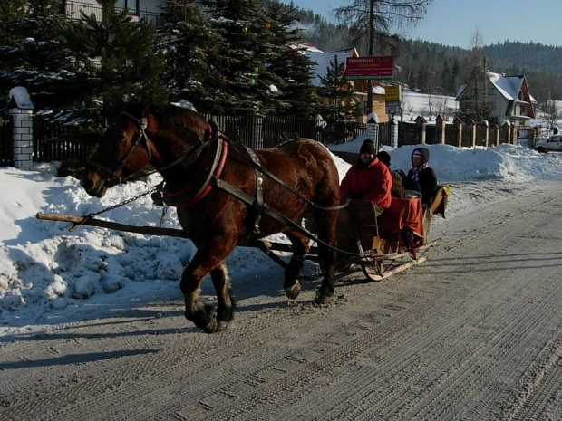 moze to nie Zakopane ale kuligów mnóstwo na ulicach