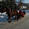 moze to nie Zakopane ale kuligów mnóstwo na ulicach