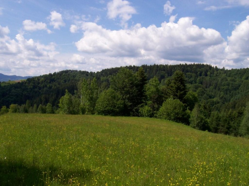 Widok na Majnik ( widac przekaźnik)